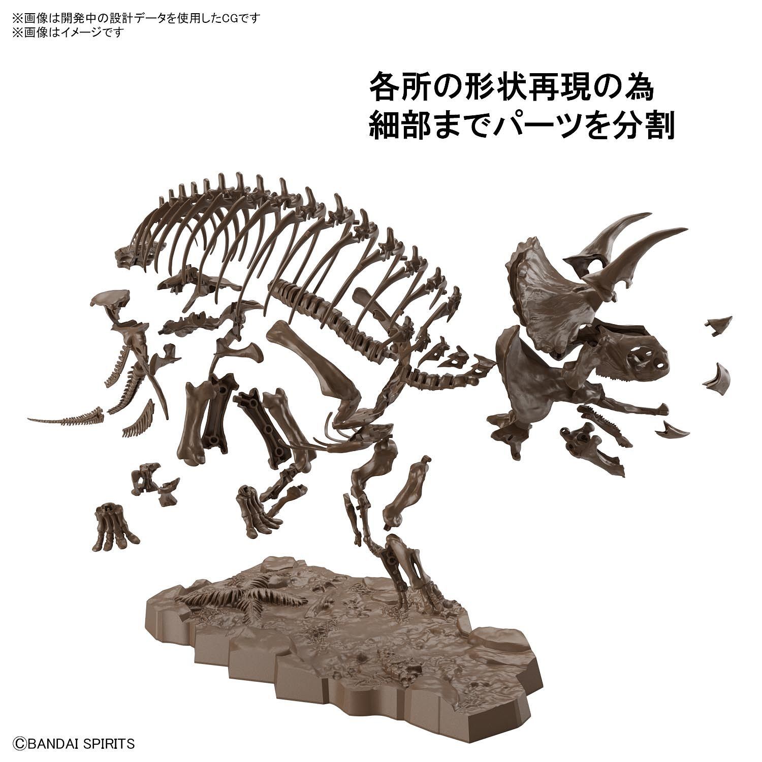 1/32 Imaginary Skeleton Triceratops - Image 6