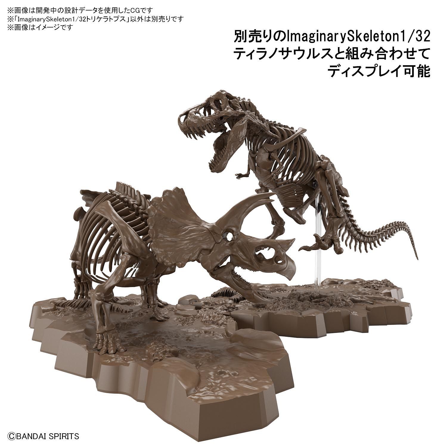 1/32 Imaginary Skeleton Triceratops - Image 3