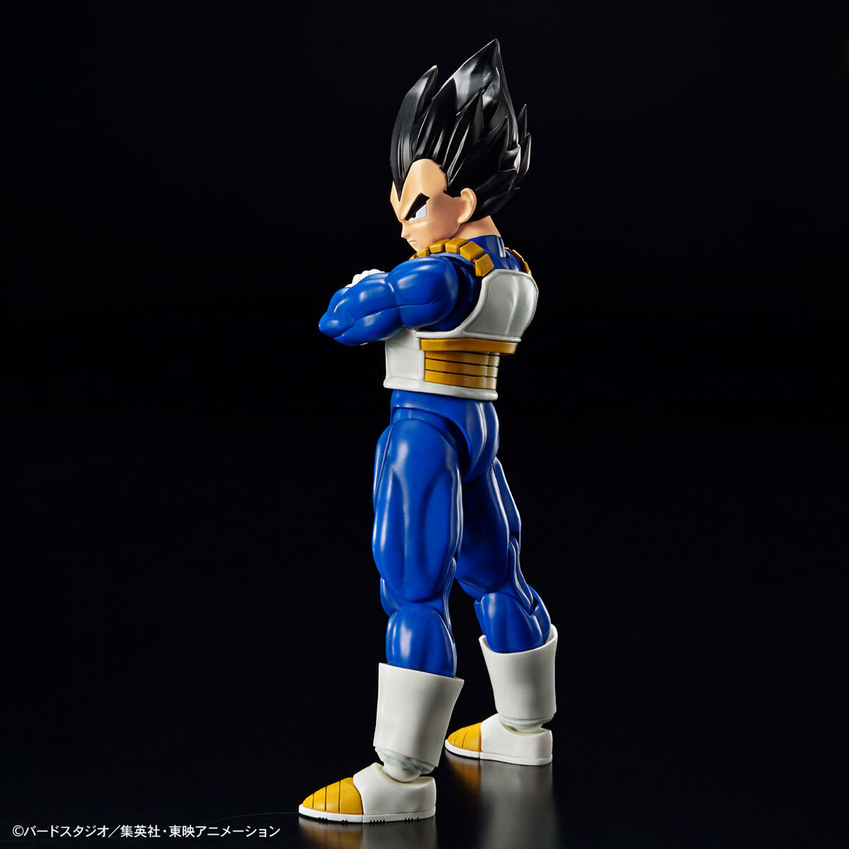 Figure-rise Standard Vegeta (New Spec Ver.) - Image 11