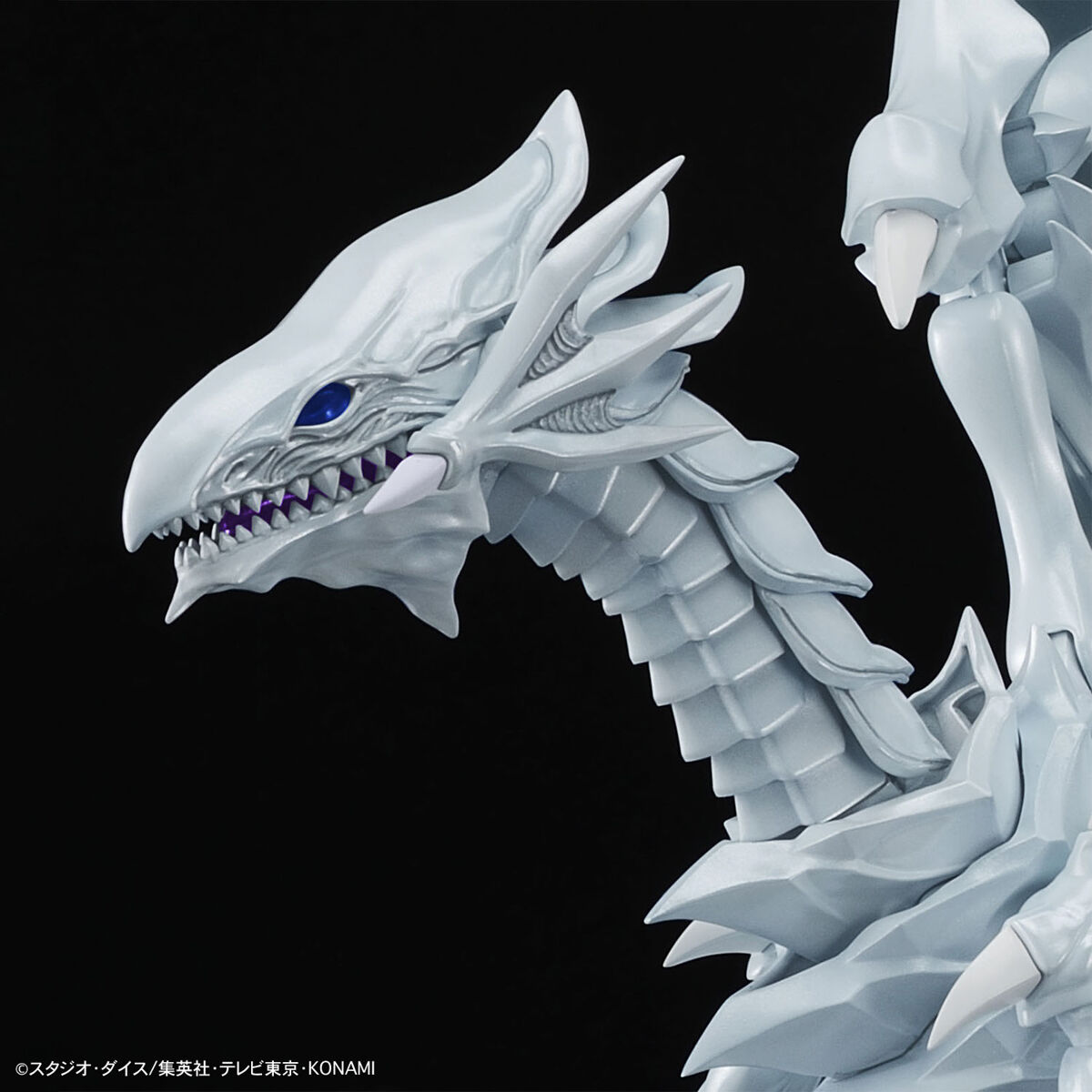 Figure-rise Standard Amplified Blue-Eyes White Dragon (Yu-Gi-Oh!) - Image 9